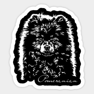 Pomeranian cute dog portrait Sticker